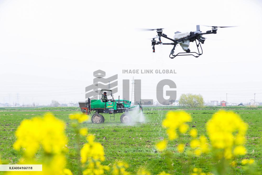 Spring Ploughing in Xinghua