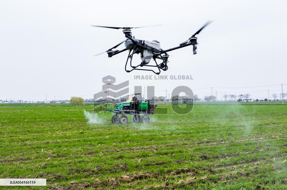Spring Ploughing in Xinghua
