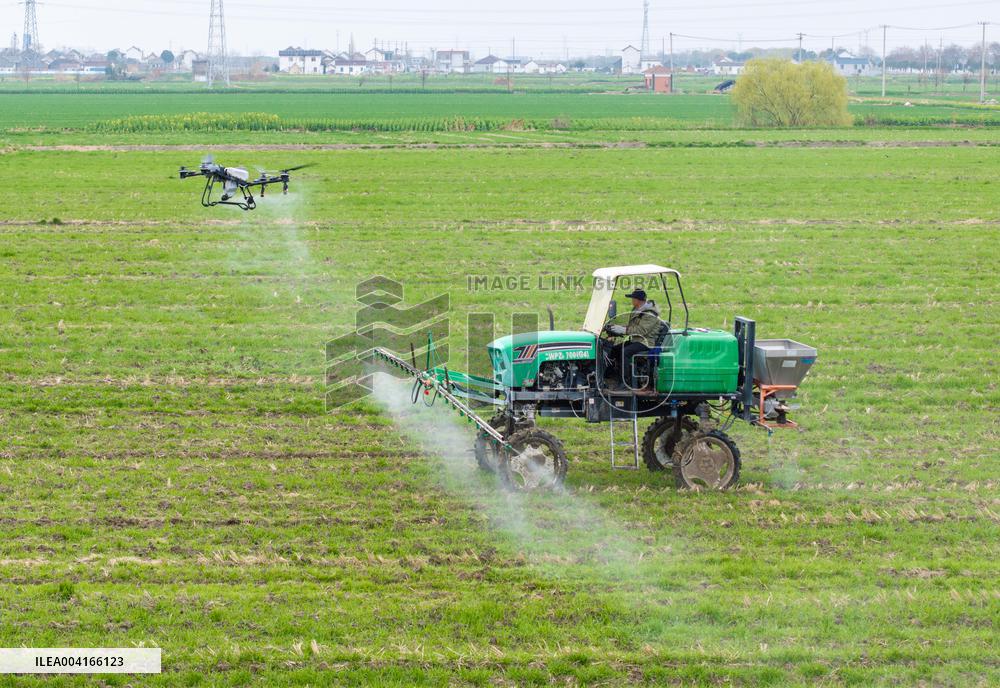 Spring Ploughing in Xinghua