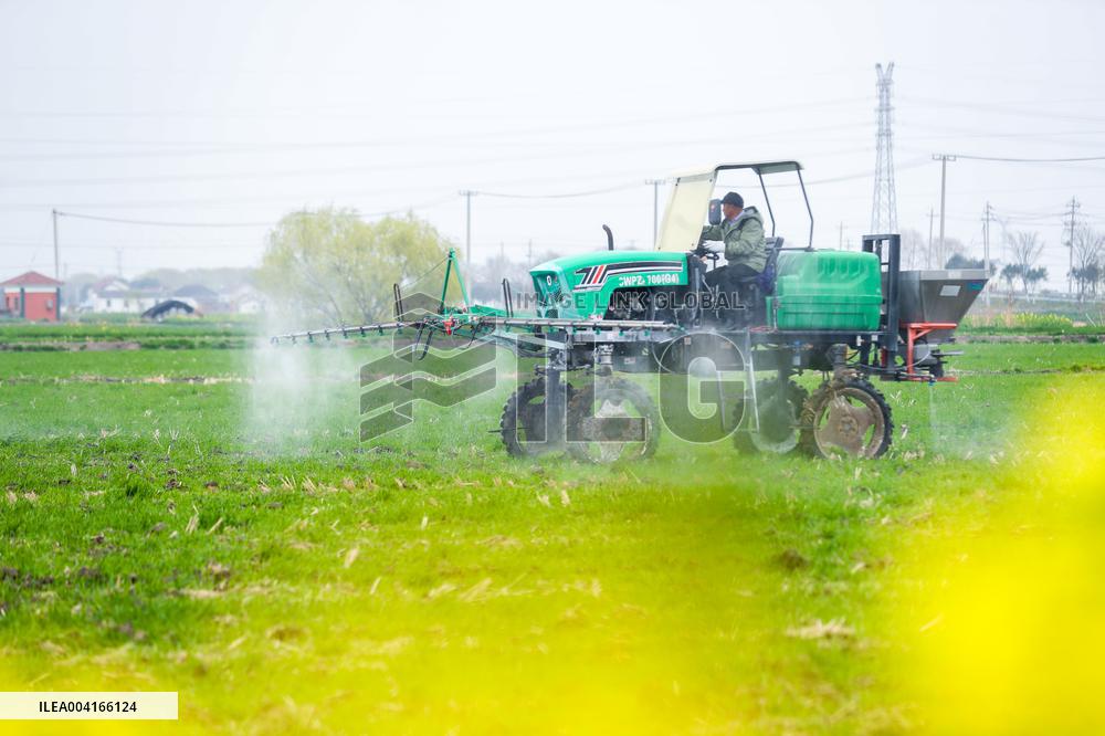 Spring Ploughing in Xinghua