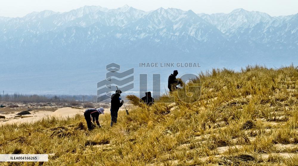 Prevent And Control Desertification in Zhangye