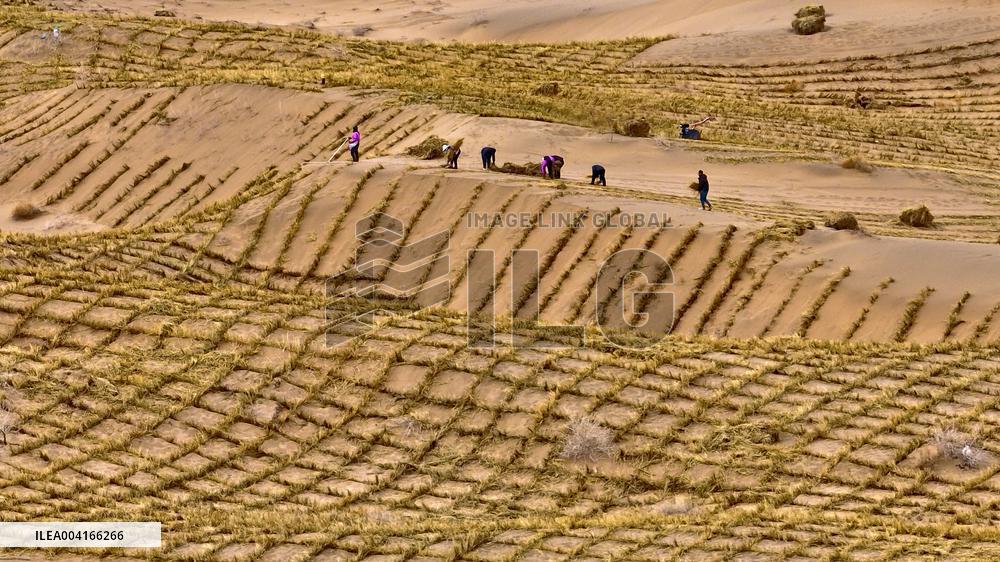 Prevent And Control Desertification in Zhangye