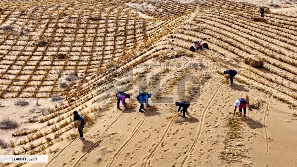 Prevent And Control Desertification in Zhangye