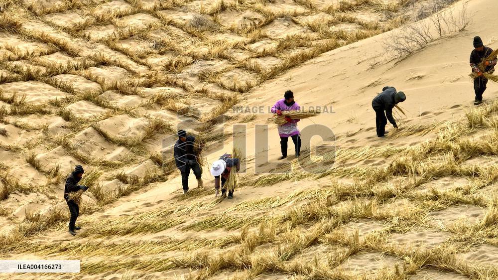 Prevent And Control Desertification in Zhangye
