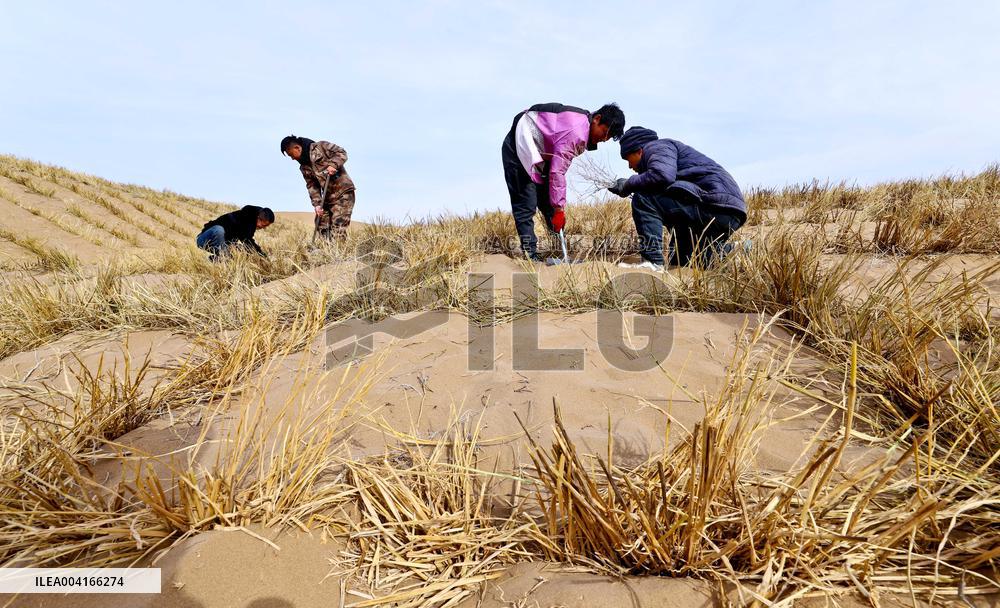 Prevent And Control Desertification in Zhangye