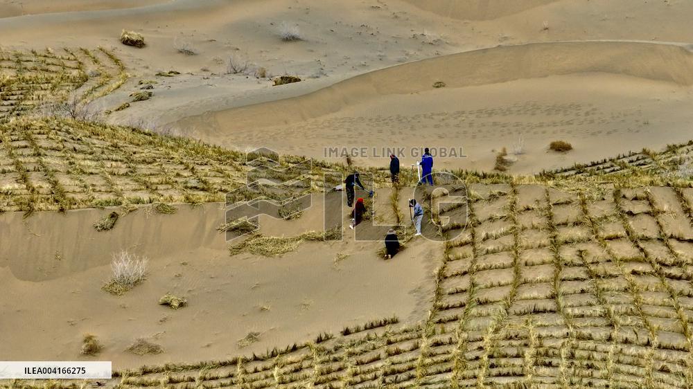 Prevent And Control Desertification in Zhangye
