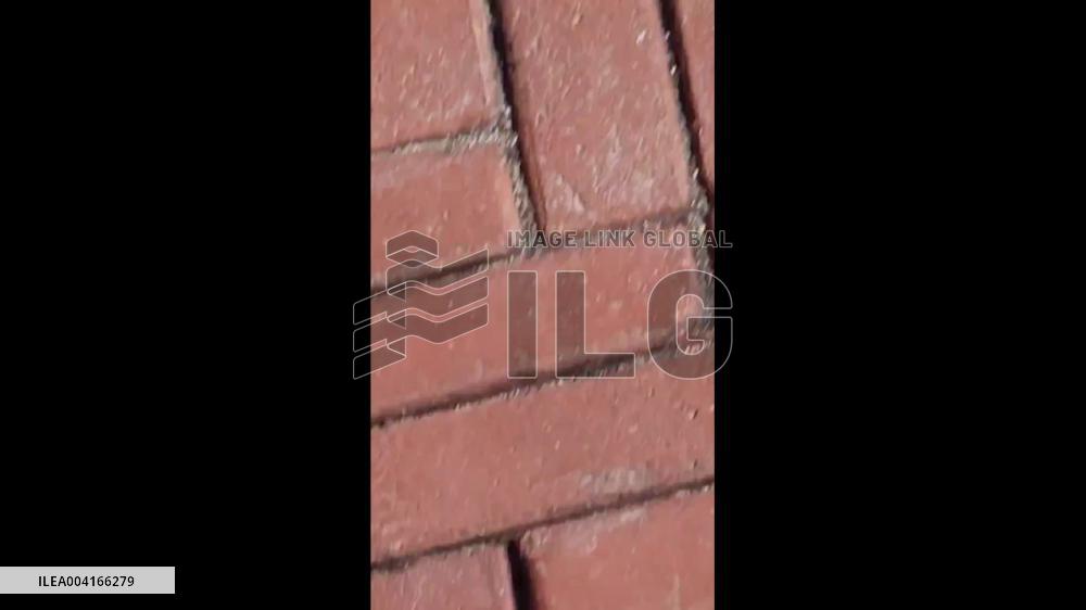 US: Protest Demanding Release of Mahmoud Khalil in New York City 2