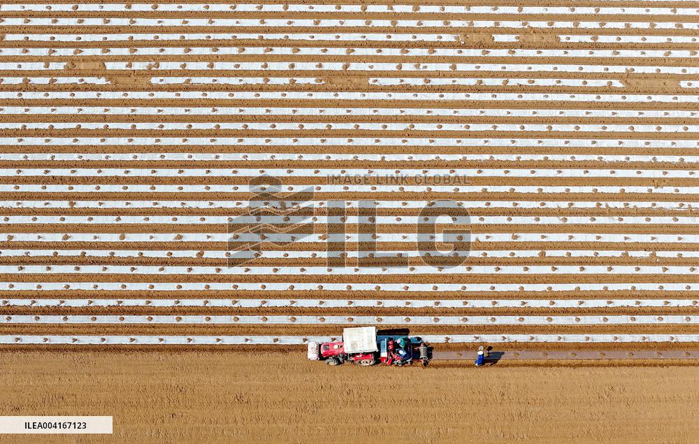Smart Agriculture in Qingdao