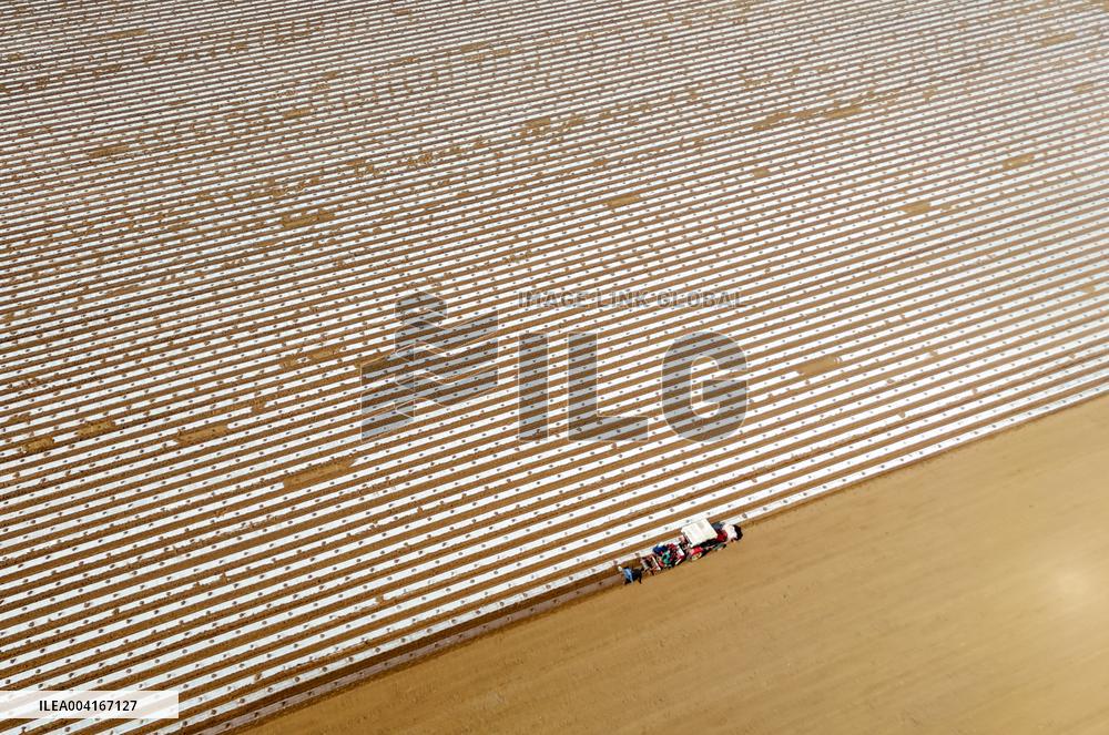 Smart Agriculture in Qingdao