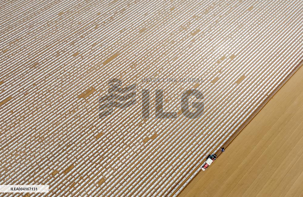 Smart Agriculture in Qingdao