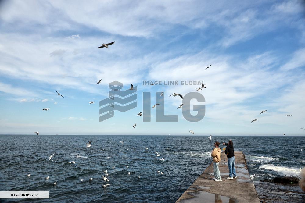 Beach holiday in Odesa