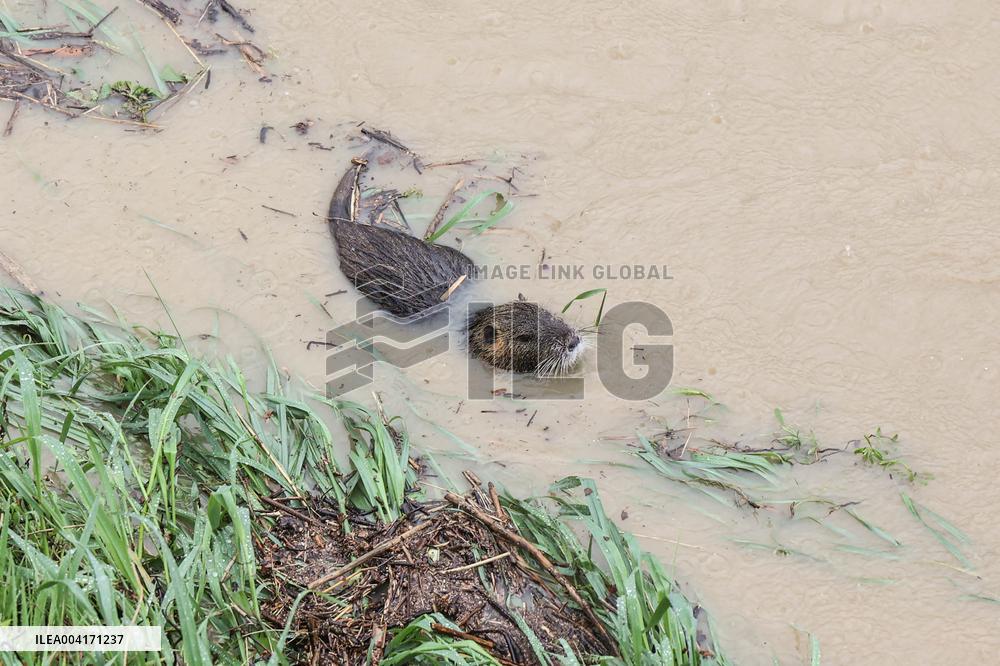 Florence On Flood Alert As Heavy Rain Closes Museums And Roads