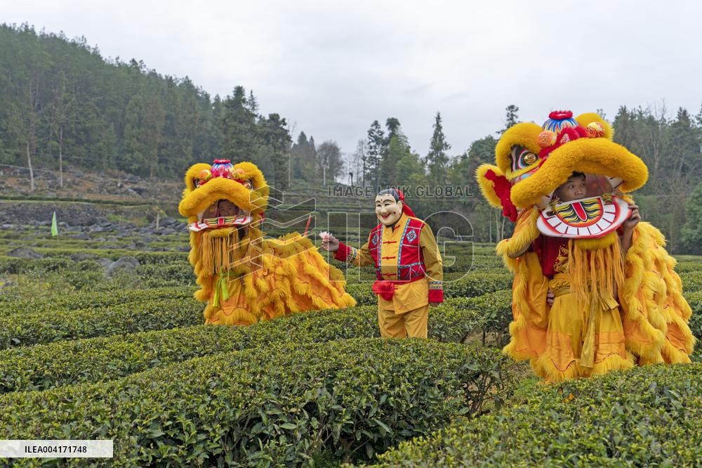 Spring Tea Picking Festival in Enshi
