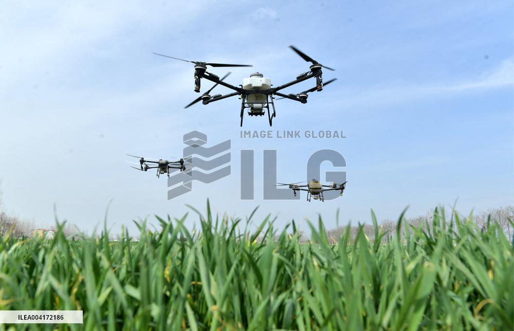 Spring Agriculture - China