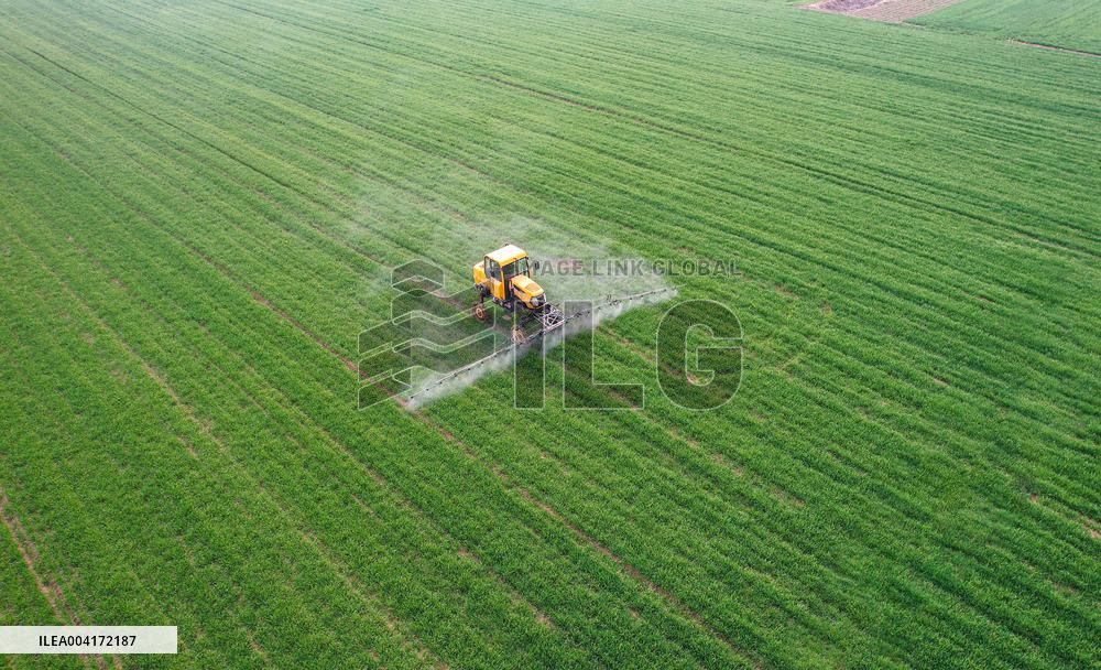 Spring Agriculture - China