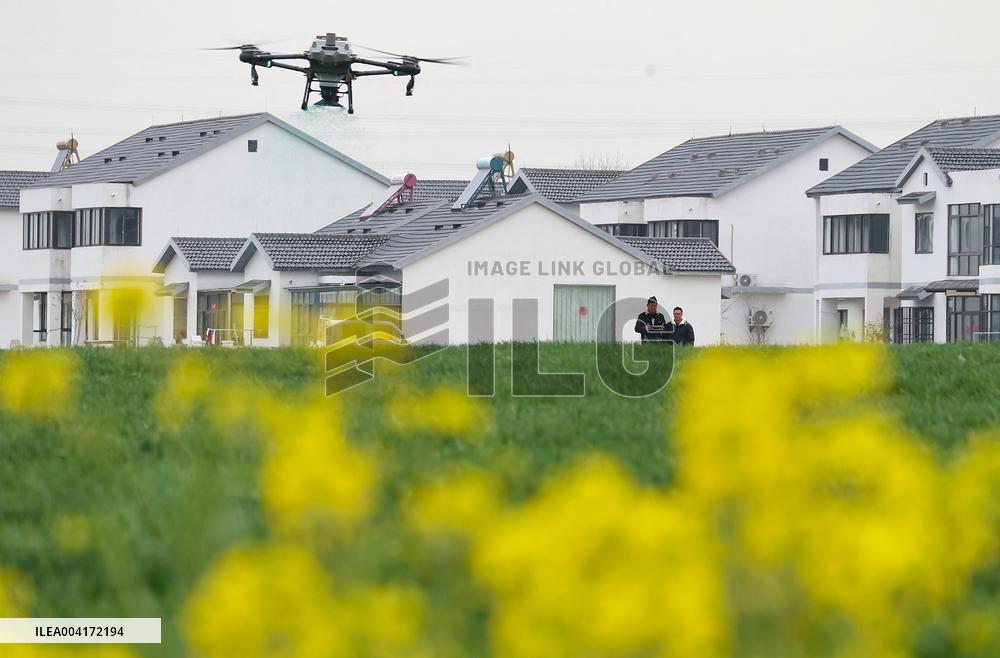 Spring Agriculture - China