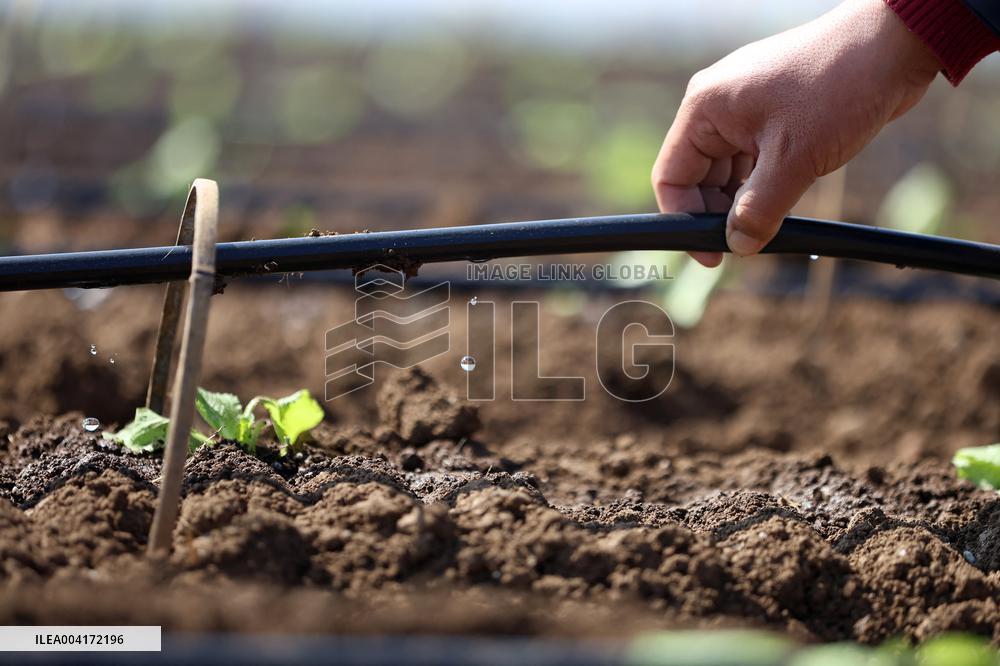 Spring Agriculture - China