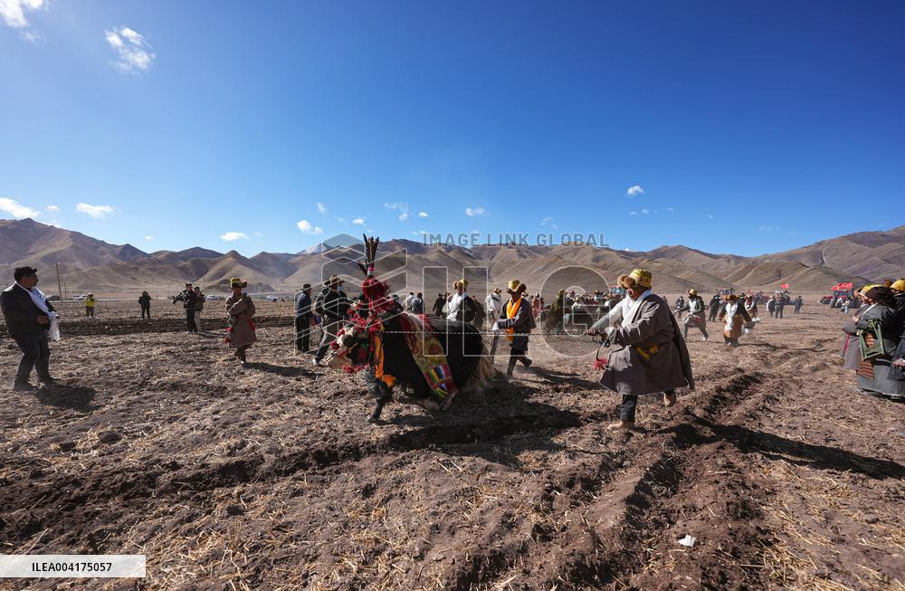 Spring Farming Ceremony - Lhasa