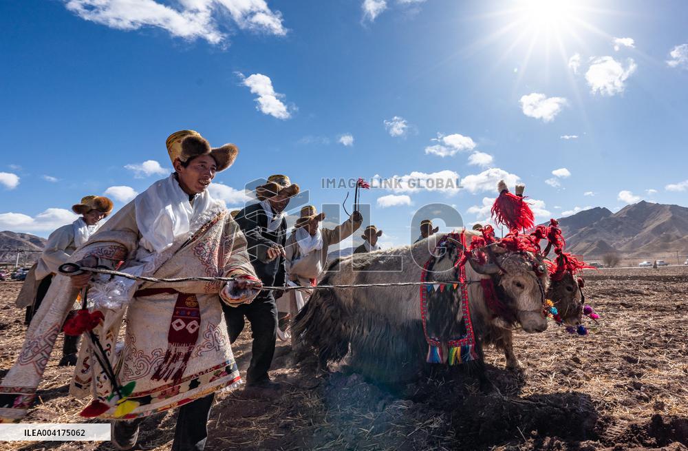 Spring Farming Ceremony - Lhasa