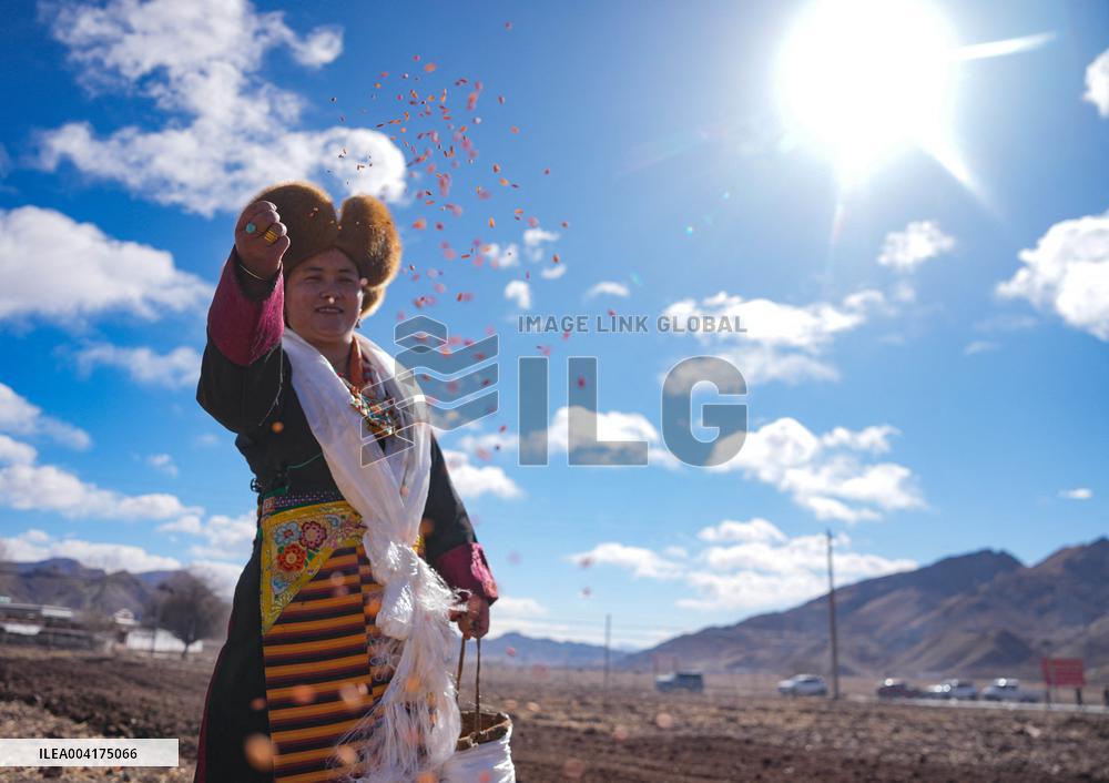 Spring Farming Ceremony - Lhasa