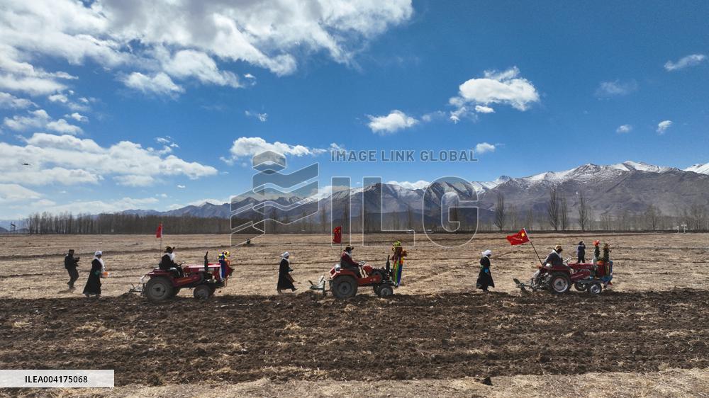 Spring Farming Ceremony - Lhasa
