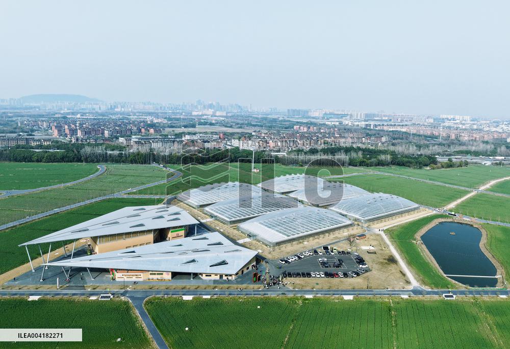 Tiancube Future Farm in Hangzhou