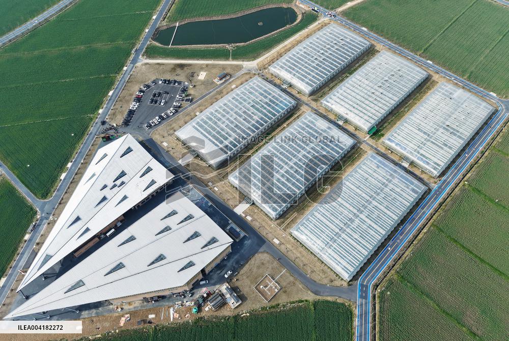 Tiancube Future Farm in Hangzhou