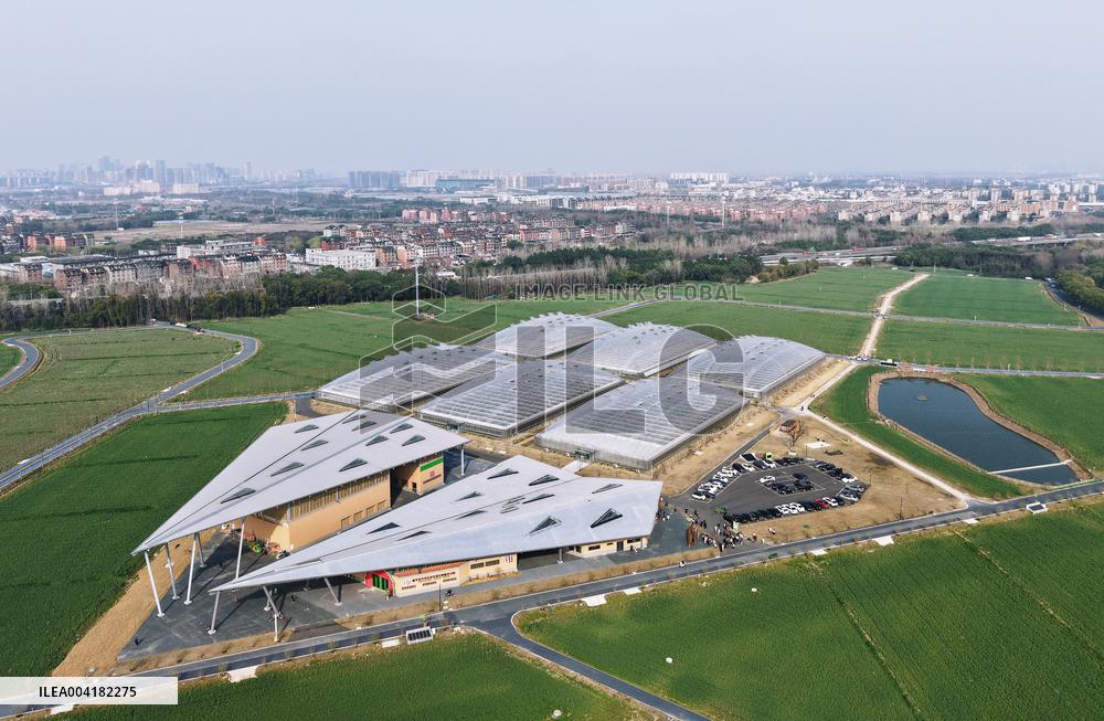 Tiancube Future Farm in Hangzhou