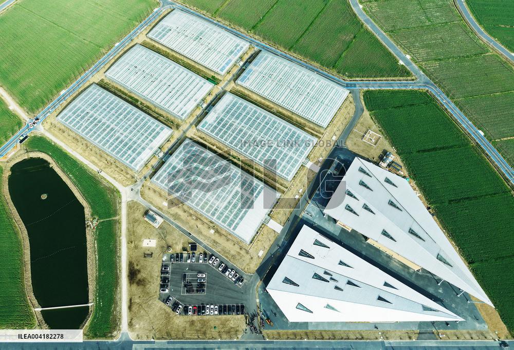 Tiancube Future Farm in Hangzhou