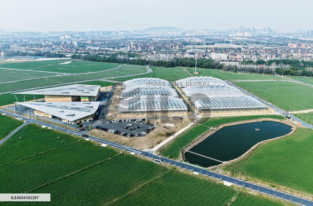 Tiancube Future Farm in Hangzhou