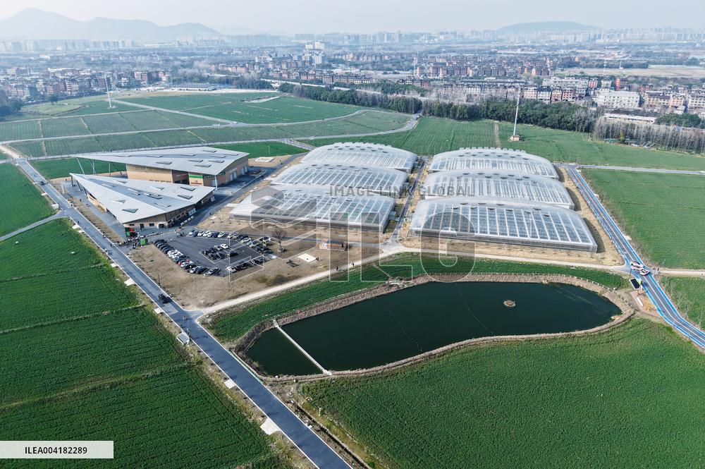 Tiancube Future Farm in Hangzhou