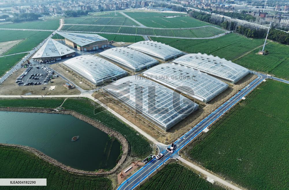 Tiancube Future Farm in Hangzhou