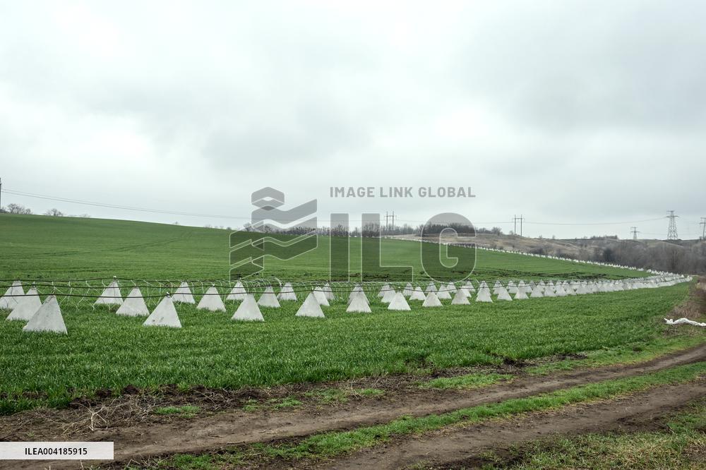 Growing winter crops in frontline areas of Zaporizhzhia region