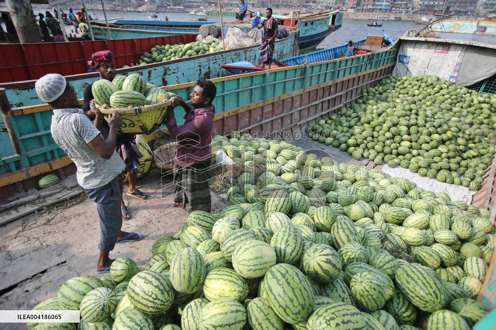 Watermelon Harvest - Bangladesh