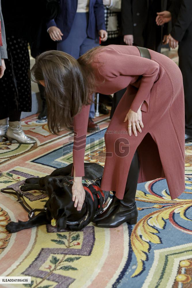 Queen Letizia Audiences - Madrid