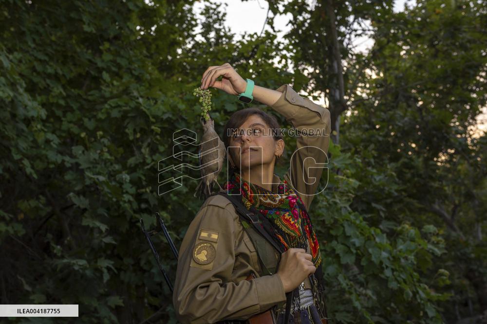 Female Peshmerga Fighters In The Mountains - Iraq