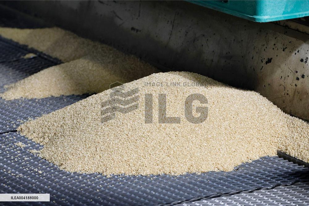 Japan's rice reserves