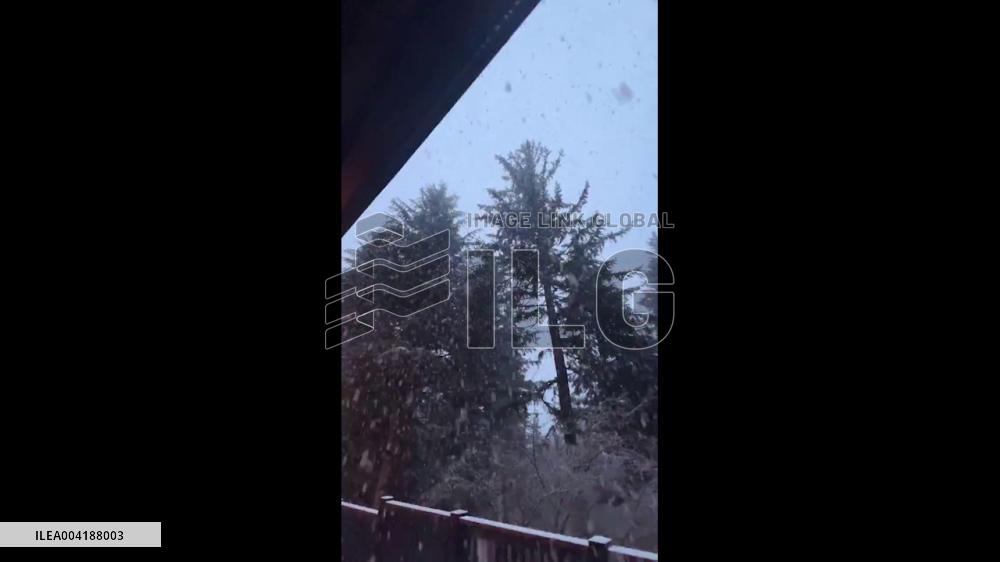 US: Big Snowflakes Fall in North Bend, Washington