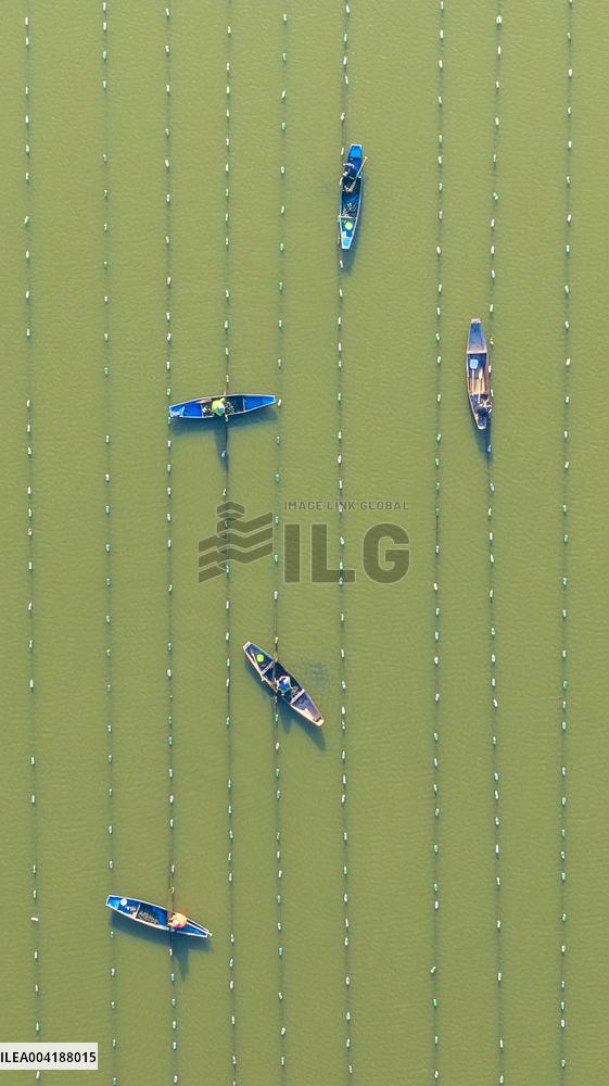 Pearl Farming in Suqian