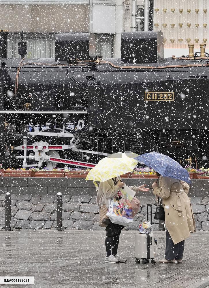Snow in Tokyo