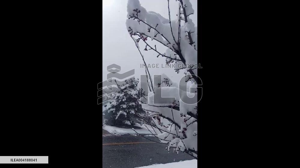 US: Cold Frot Brings Heavy Snowfall to Salt Lake City