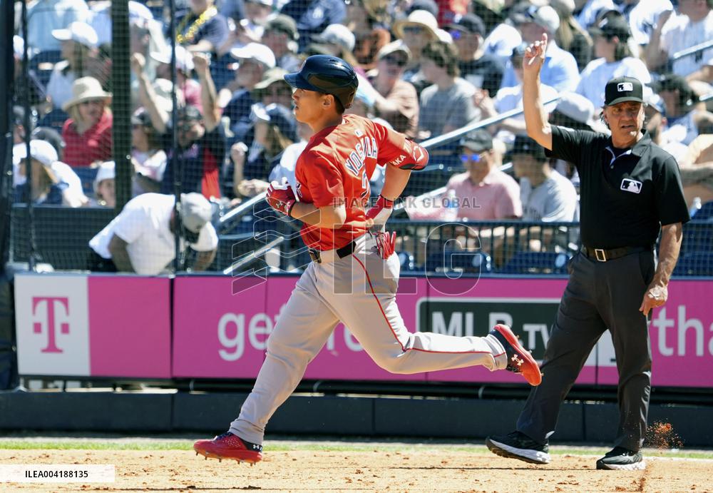 Baseball: MLB spring training