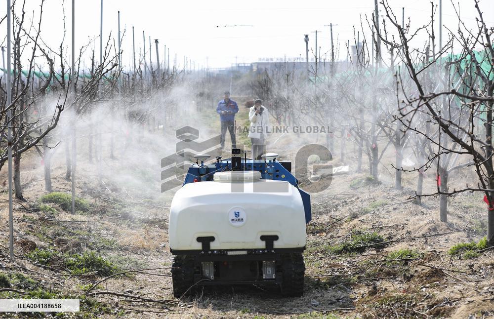 Orchard Multifunctional Robot Export