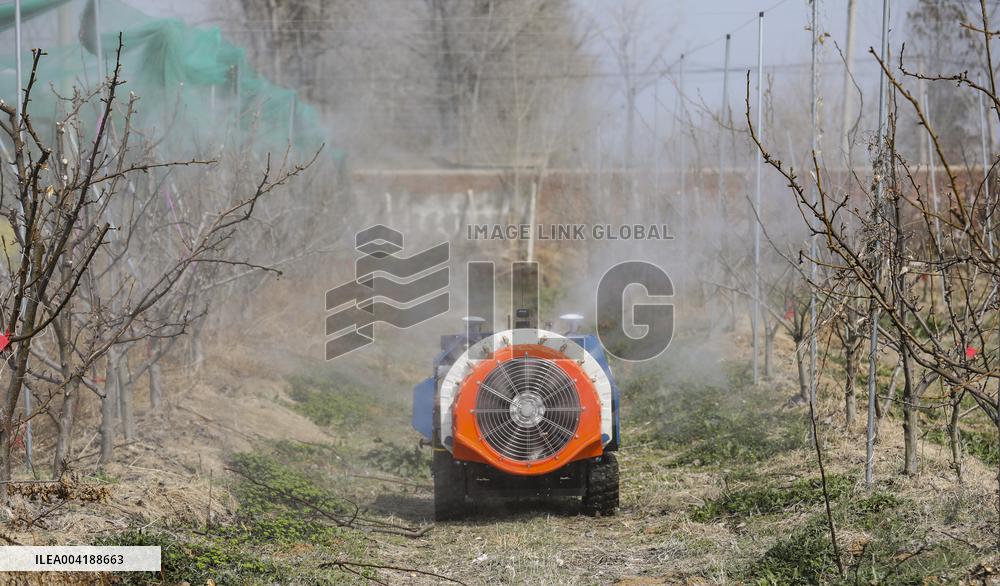 Orchard Multifunctional Robot Export