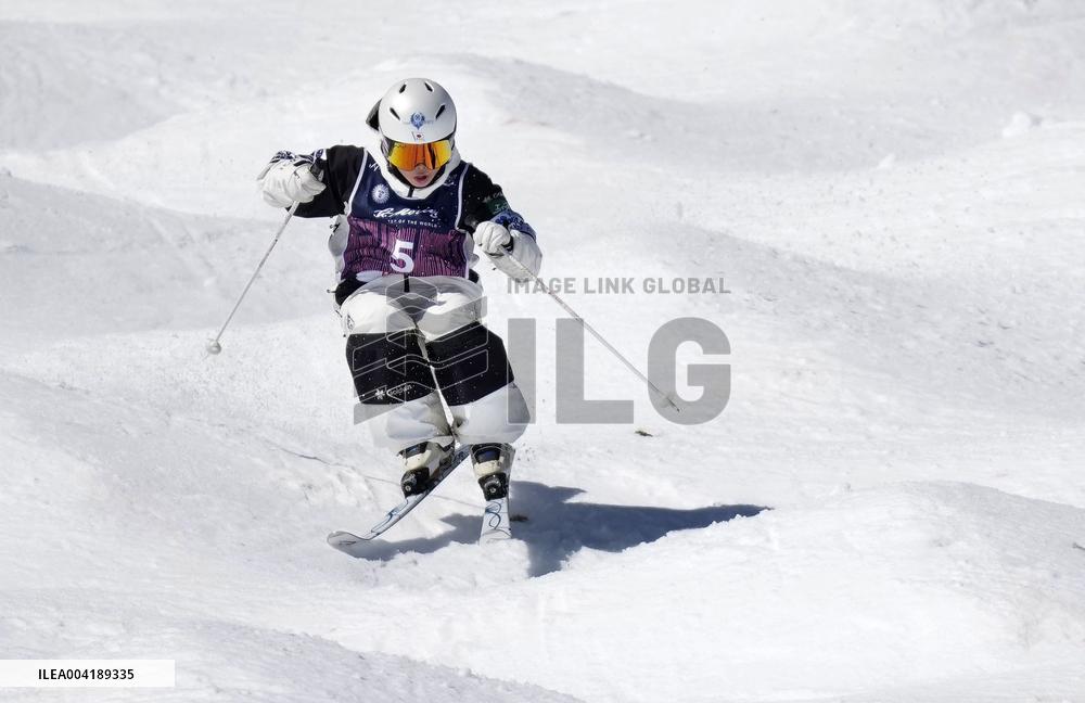 Freestyle skiing: World championships