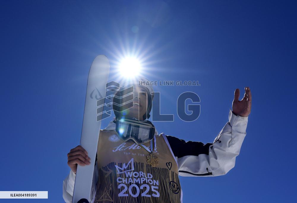 Freestyle skiing: World championships