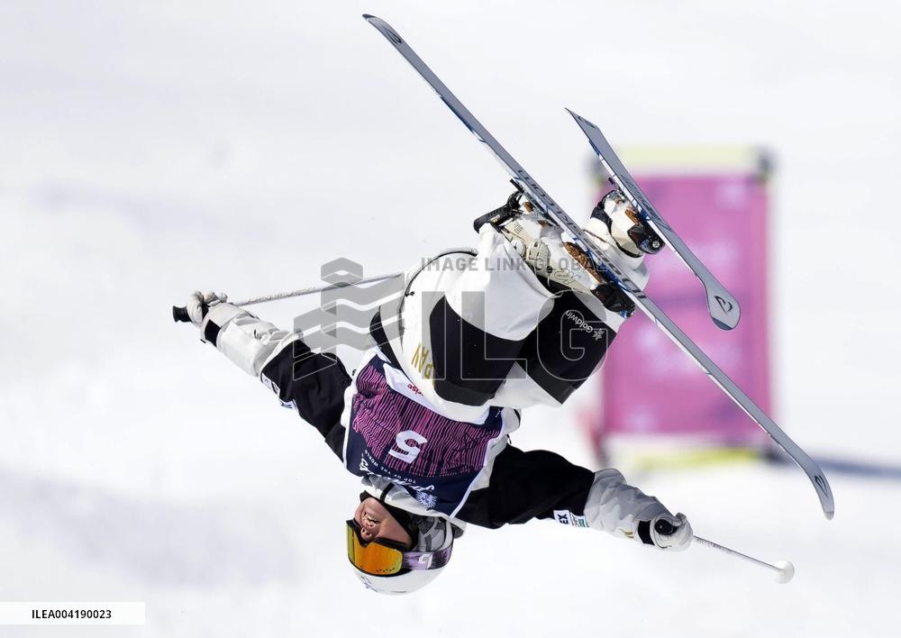 Freestyle skiing: World championships