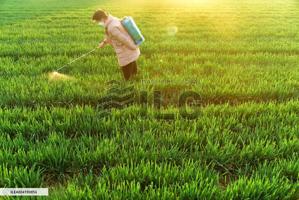 Agricultural Management