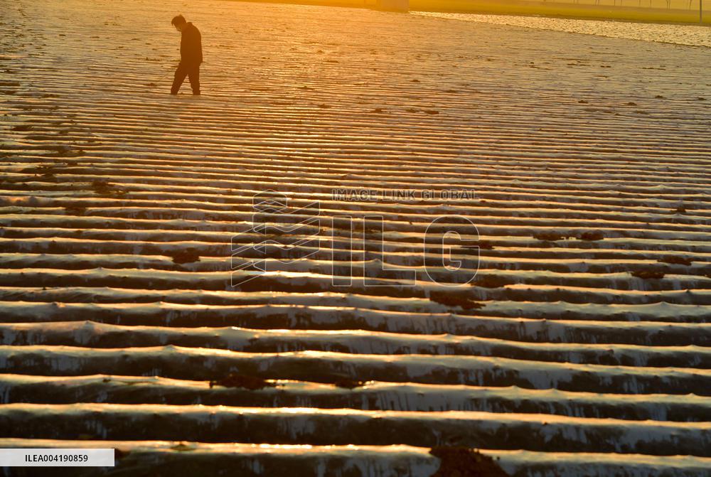 Agricultural Management