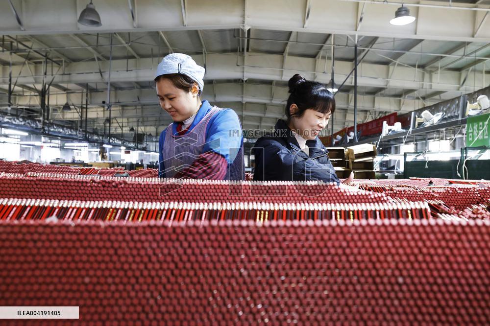 Poplar Pencil Production in Suqian